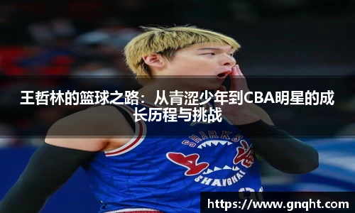 王哲林的篮球之路：从青涩少年到CBA明星的成长历程与挑战
