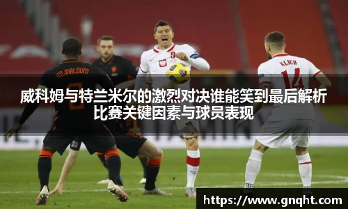 凤凰联盟平台