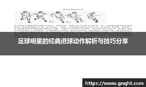 凤凰联盟首页官网